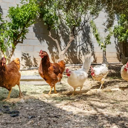 El Cortijo De Granada Σπίτι διακοπών