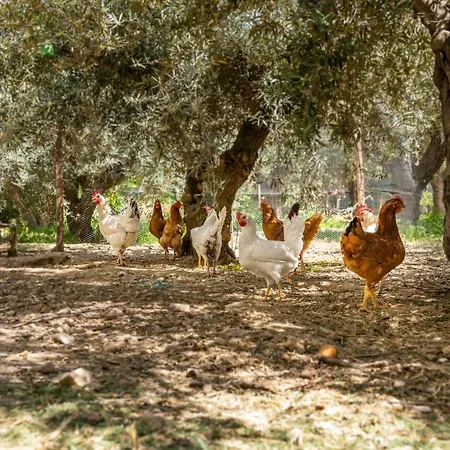 Holiday home El Cortijo De Granada Gojar